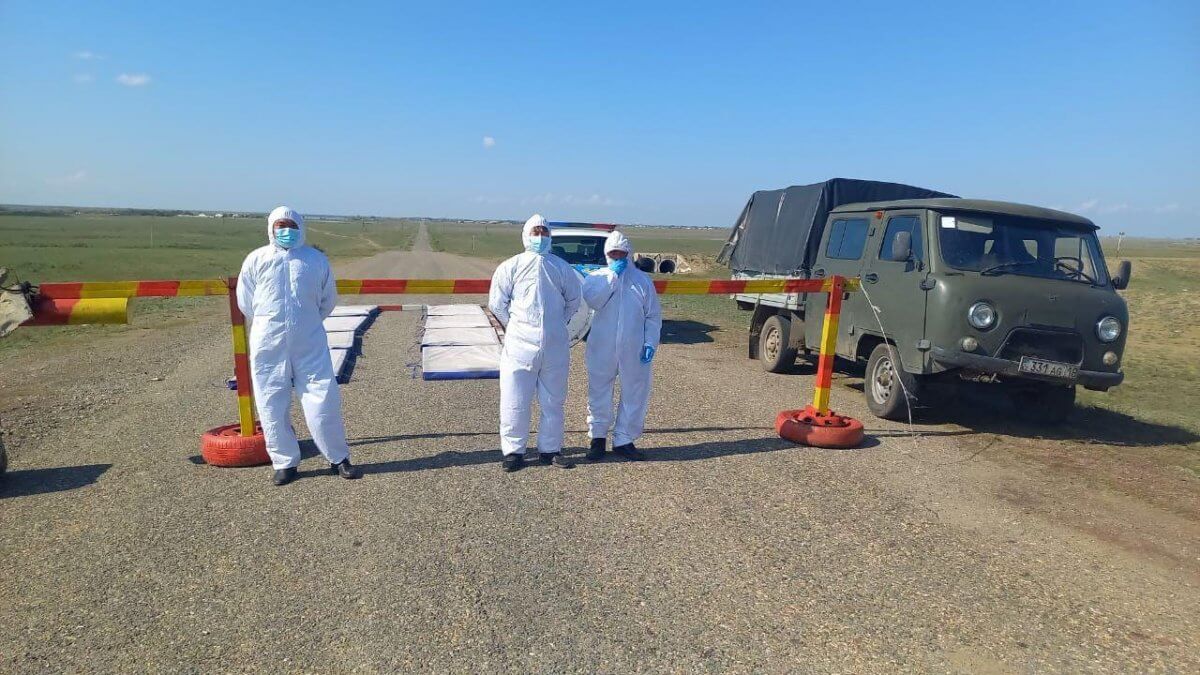 Подозрение на сибирскую язву: режим ЧС сняли в селе Жетыжар
