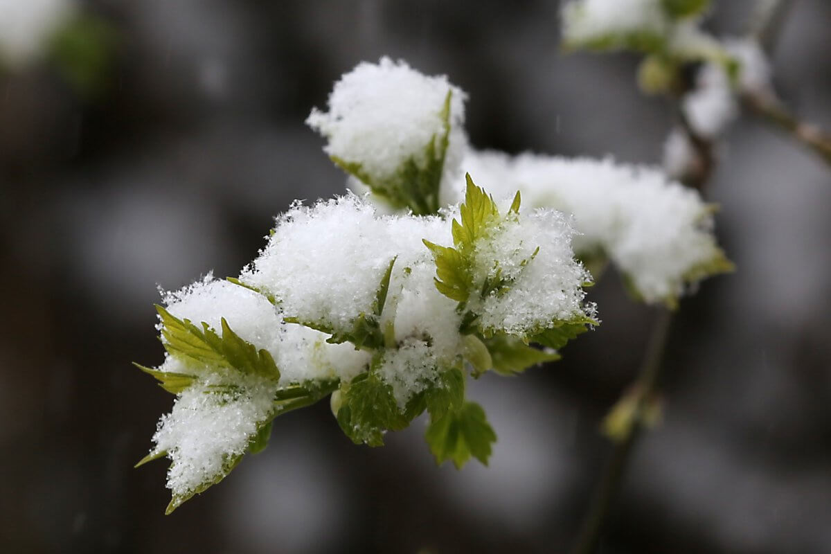 Штормовое предупреждение объявили в Астане и 12 областях Казахстана