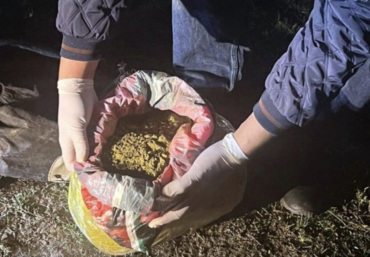 Гашиш и марихуану в крупном размере сбывали в Жамбылской области