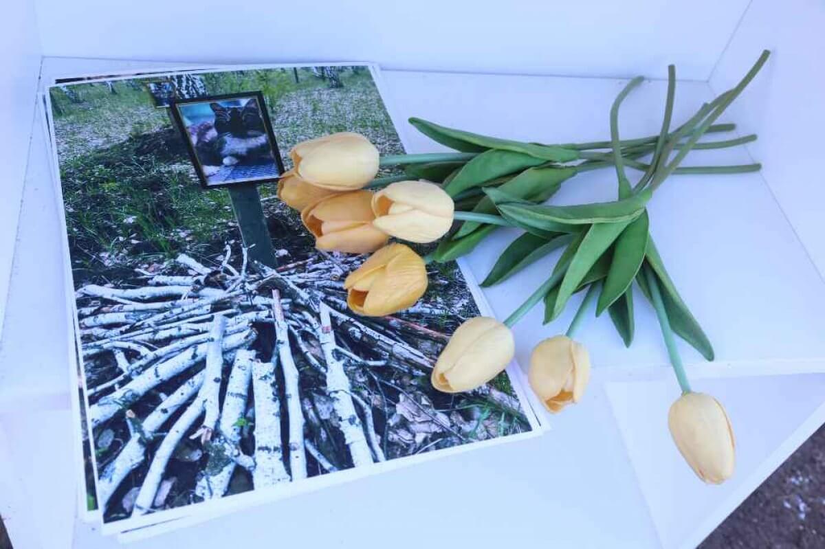 В Костанае открыли первый крематорий для кошек и собак