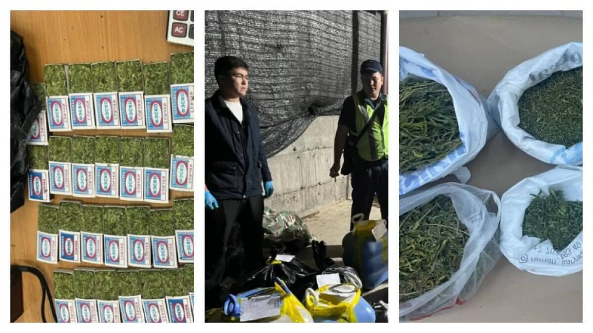 Более 15 кг марихуаны изъяли полицейские у жителя Туркестанской области