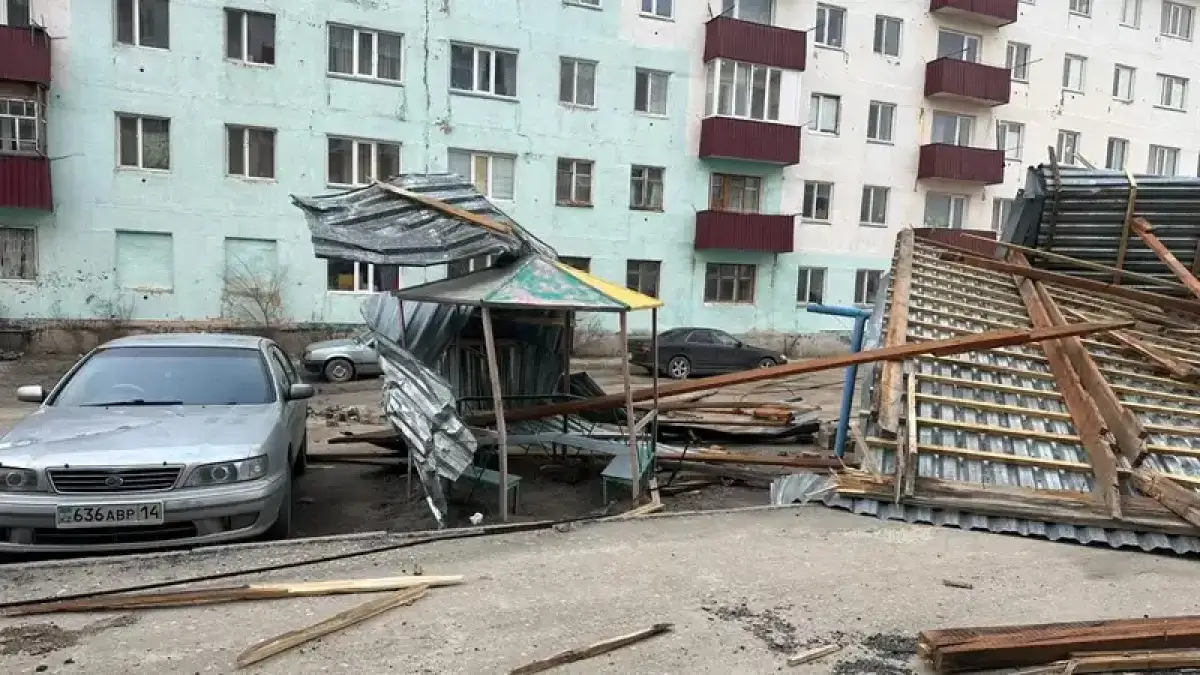 Жители 40 сел остались без электричества в Павлодарской области