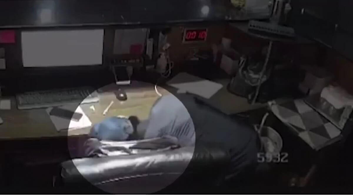 Мужчина напал на оператора игрового клуба в Шымкенте (ВИДЕО)