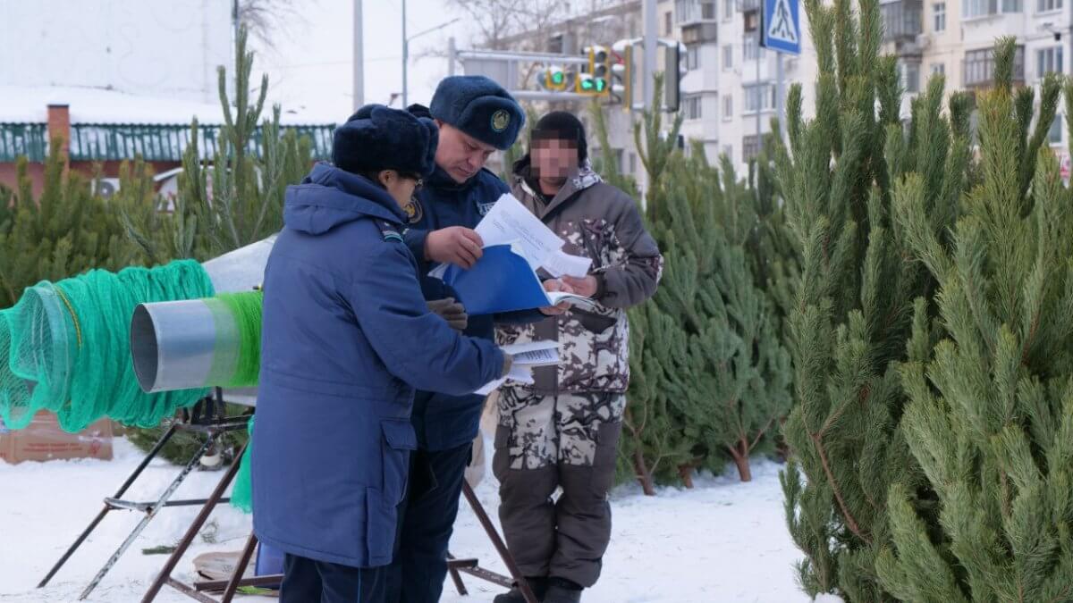 53 тысячи тенге придется заплатить за вырубку одного дерева в СКО