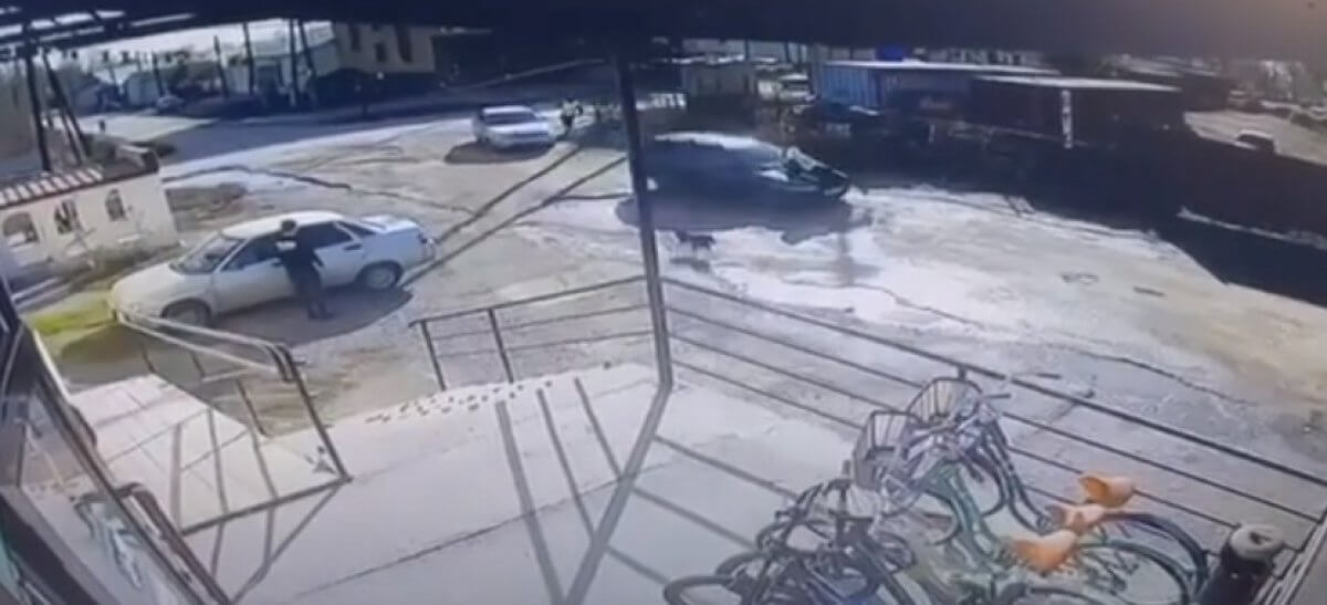 Водитель прокатил полицейского на капоте в Урджаре (ВИДЕО)