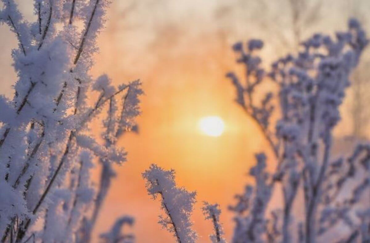 На большей части Казахстана ожидается погода без осадков