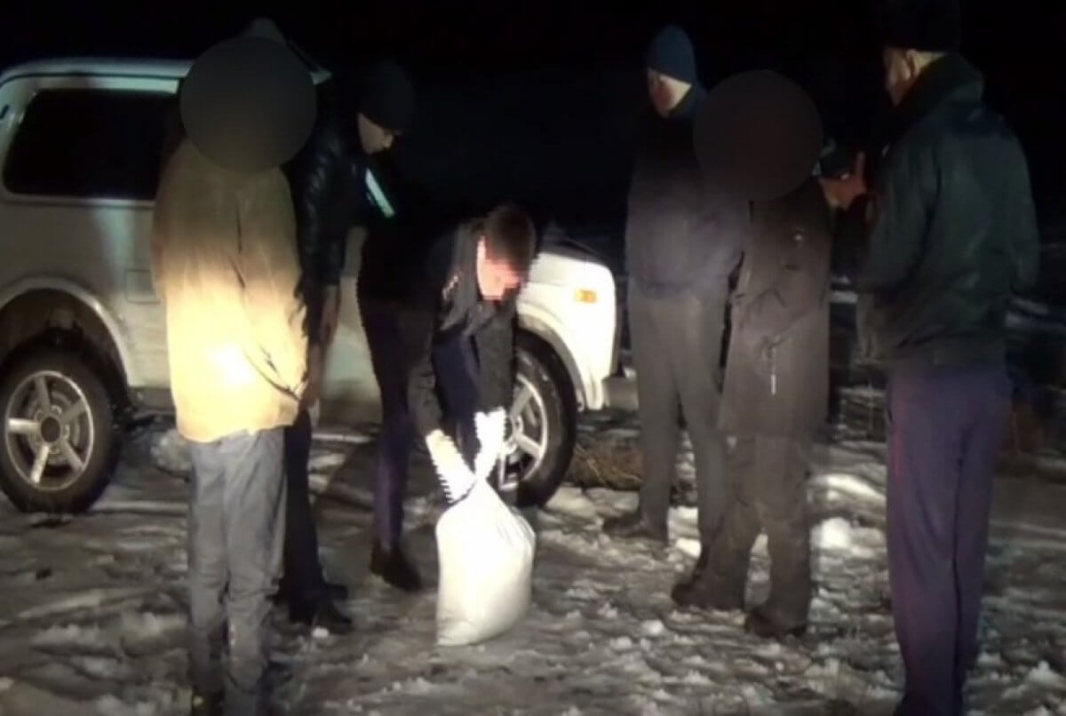 Житель Жамбылской области выкапывал коноплю из-под снега