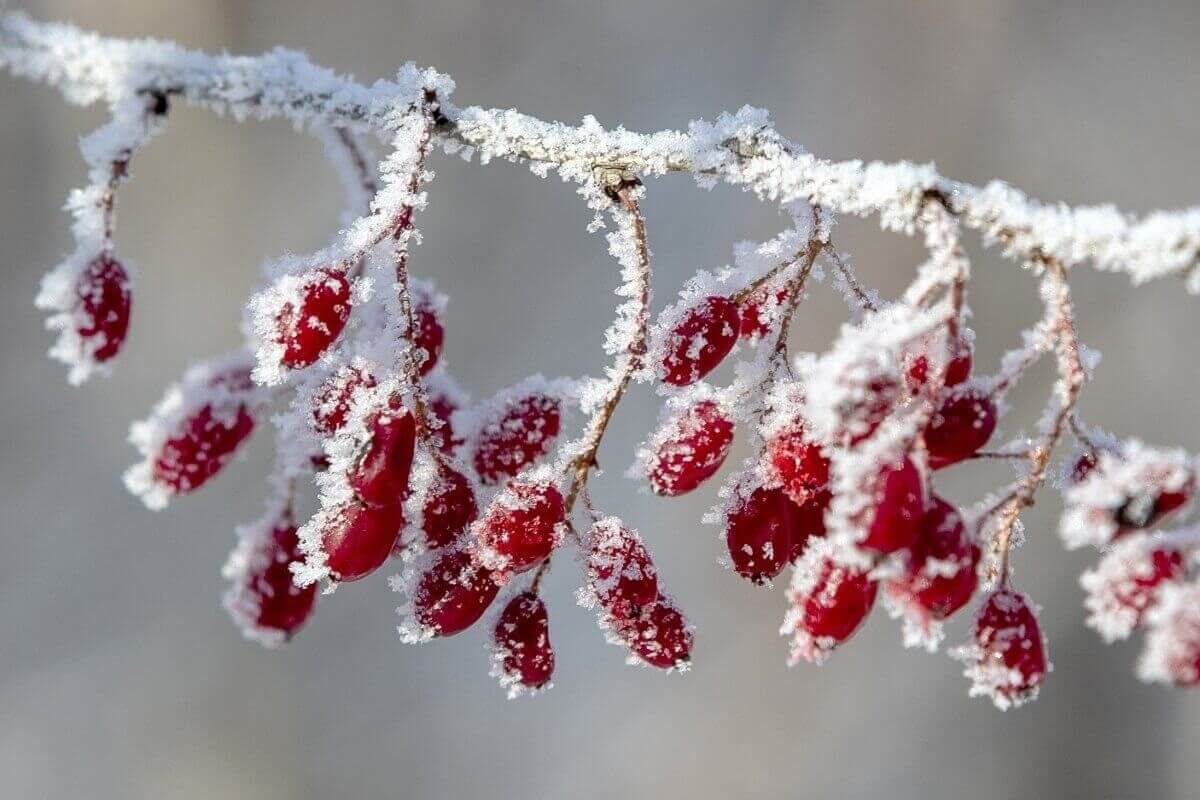 30-градусные морозы придут на запад Казахстана