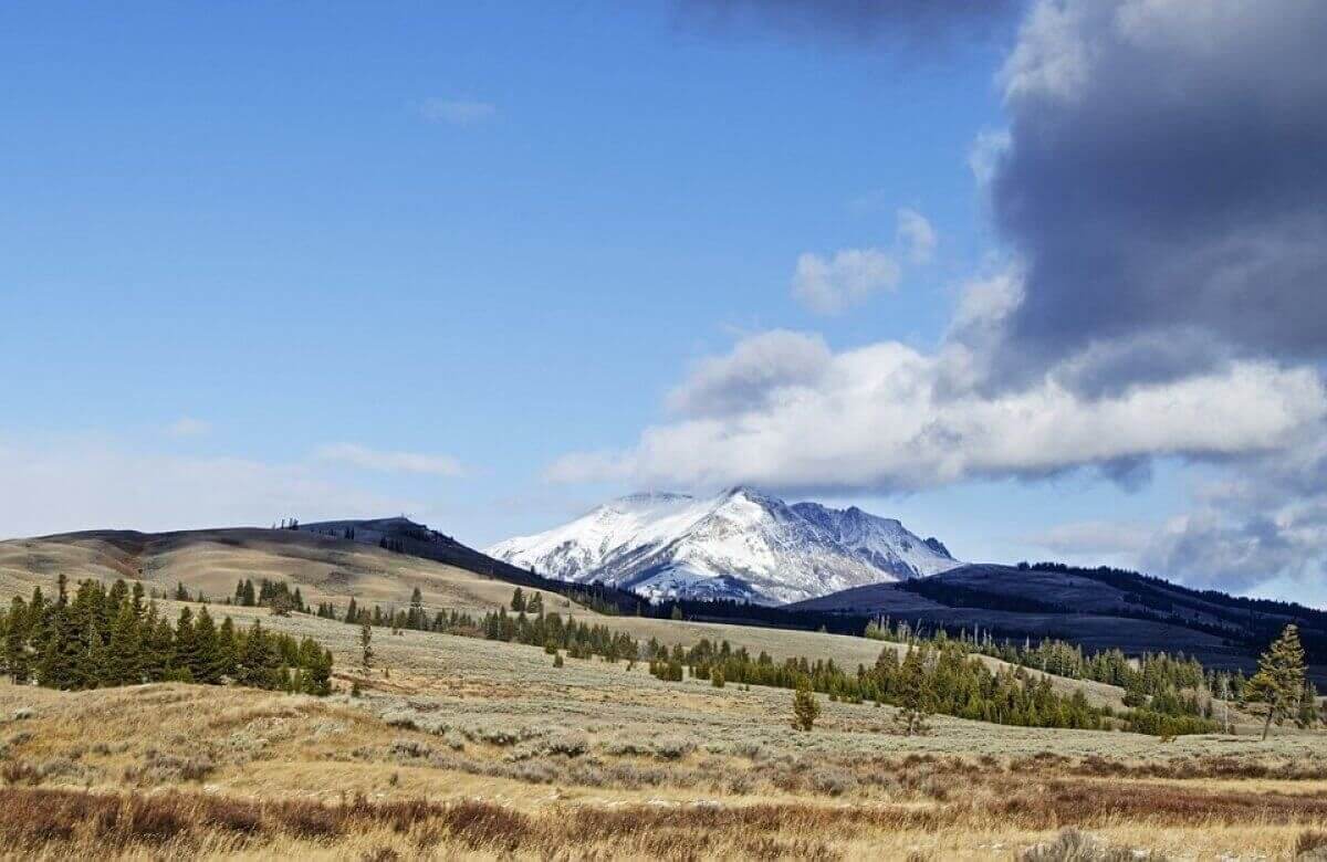 Чиновник подарил госземлю бизнесмену в Атырауской области