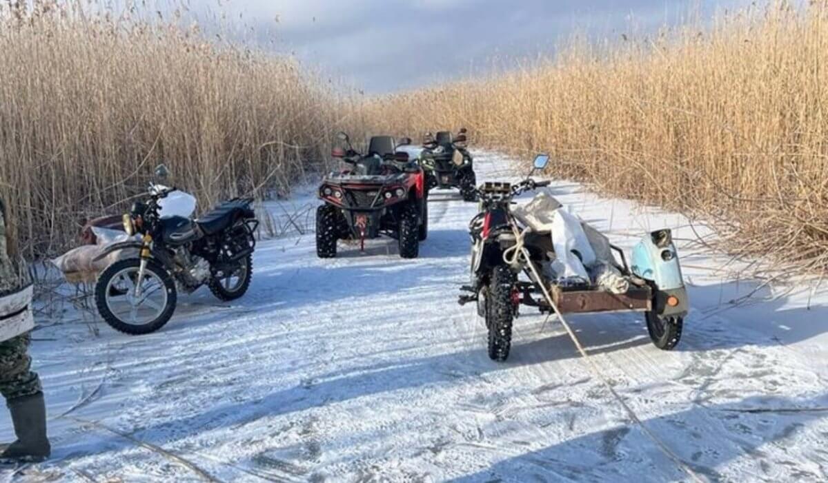 Три мешка рыбы выловили браконьеры в Атырауской области
