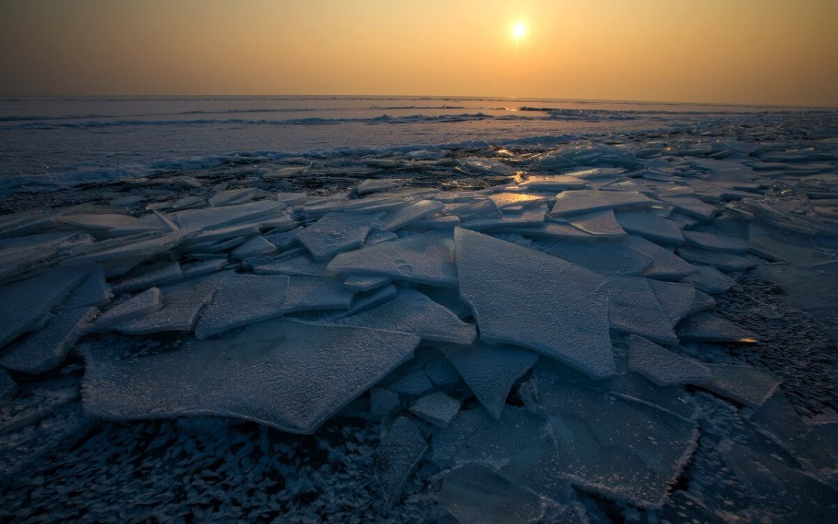 Снег с метелью пройдет в ряде областей Казахстана