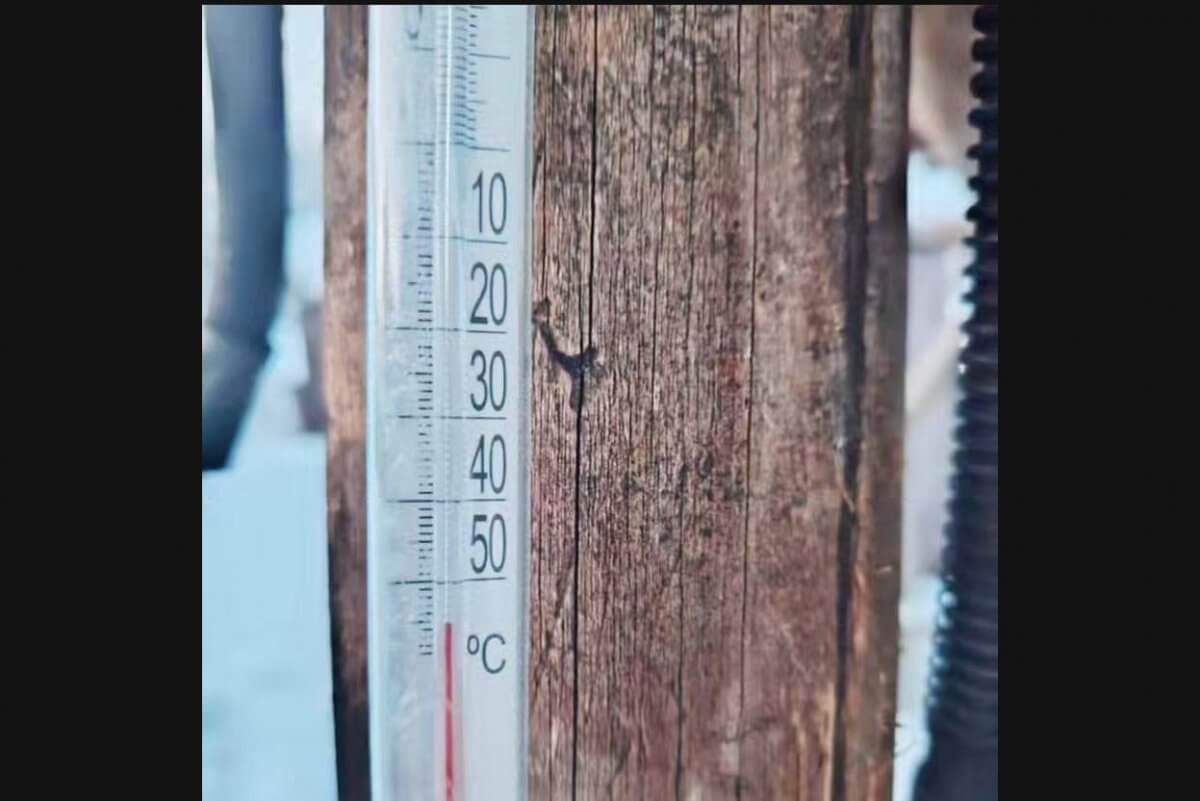 Температурный рекорд зафиксировали в резервате "Семей орманы"
