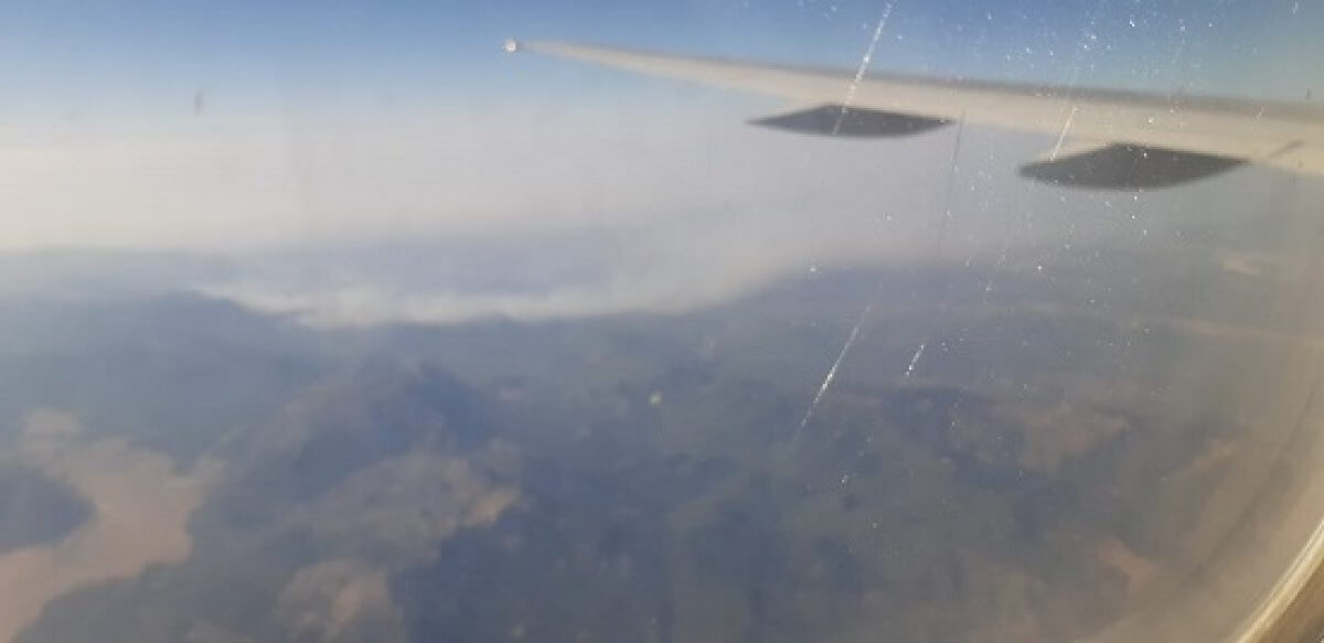 Камыши горят на берегу Каспийского моря в Атырауской области