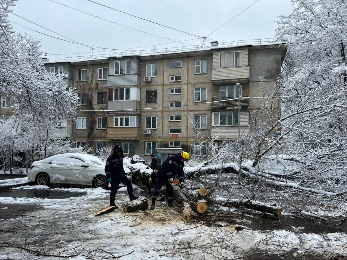 Дерево упало на автомобили в Алматы (ВИДЕО)