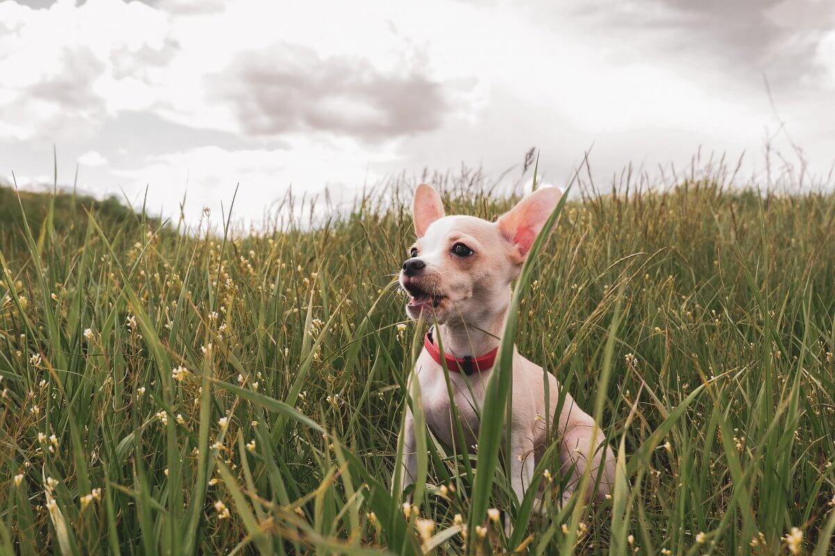Ветер и осадки несет циклон в Казахстан