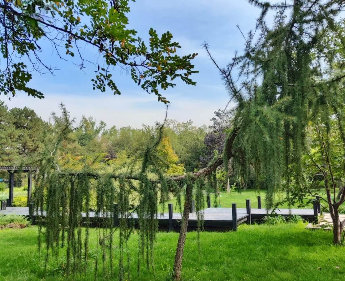 Знать, чтобы любить