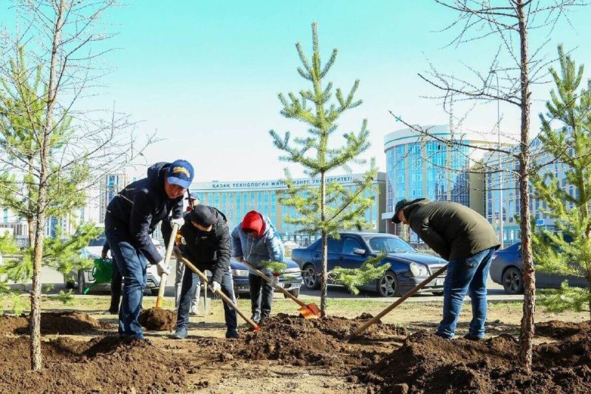 Экологическая кампания “Таза Қазақстан – таза аймақ” стартовала в Кызылорде