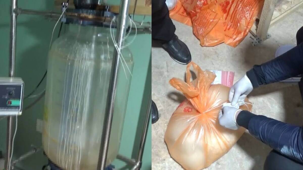 Алматинку подозревают в организации крупной нарколаборатории