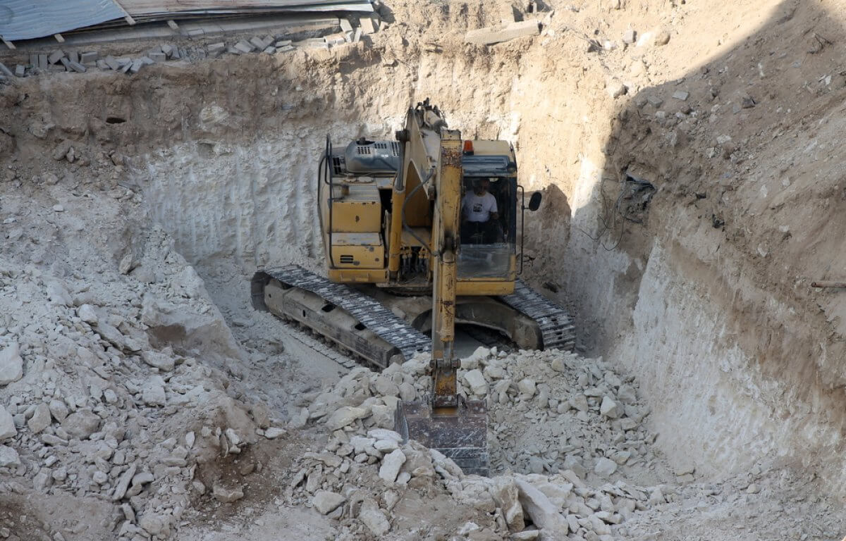 Застройщик выкорчевал деревья в Актау