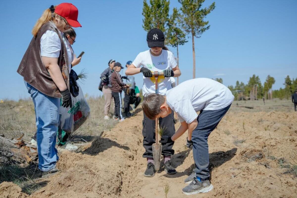 Инициативу по восстановлению сгоревшего ленточного бора поддержал Токаев
