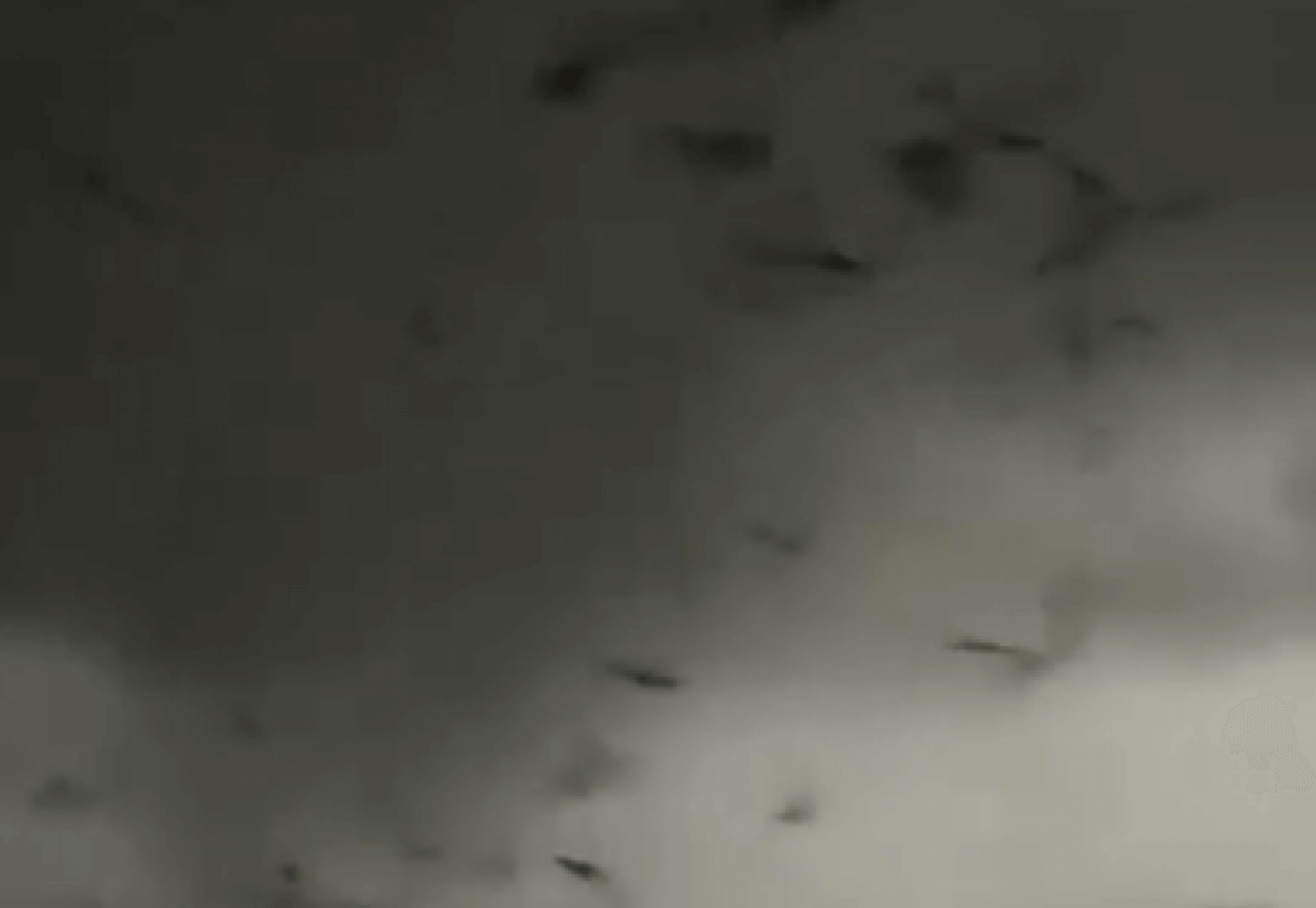 Есть погибшие: на Китай обрушился торнадо