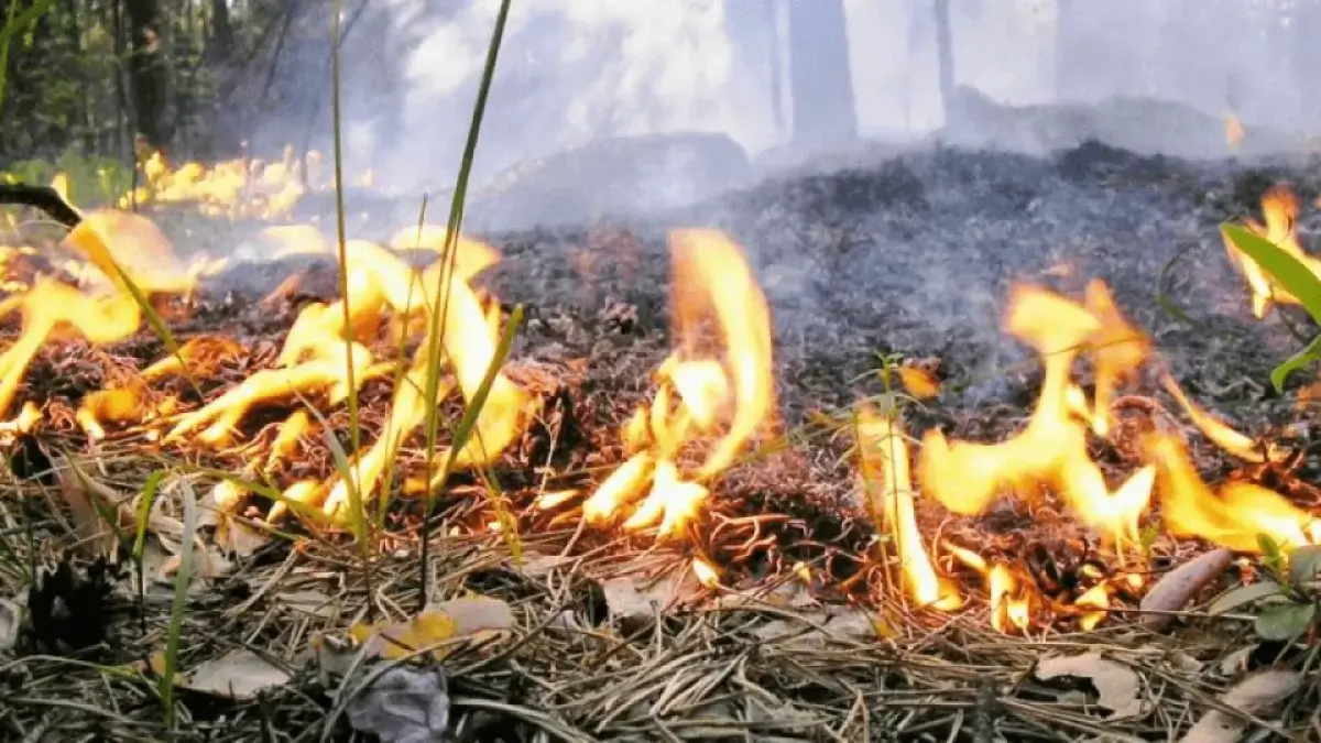 Пожарная опасность сохраняется на большей части Казахстана