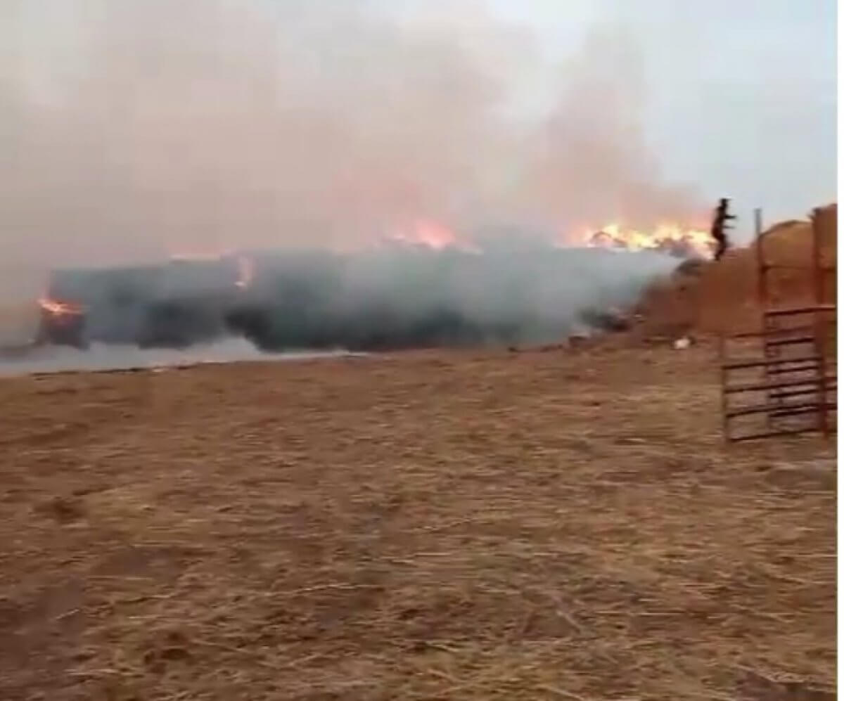 Пожар на сеновале тушат в Атырауской области
