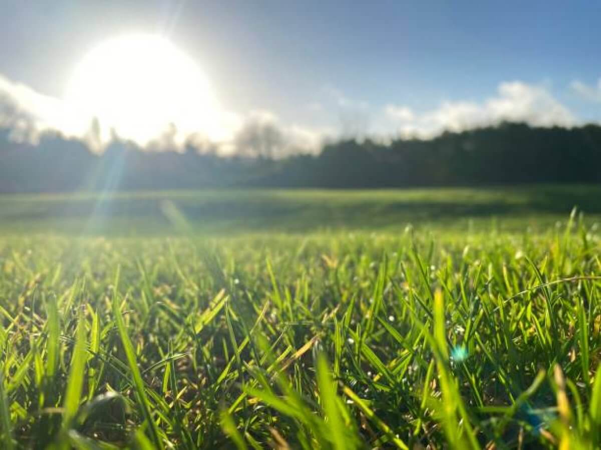 Пожарная опасность ожидается на большей части Казахстана