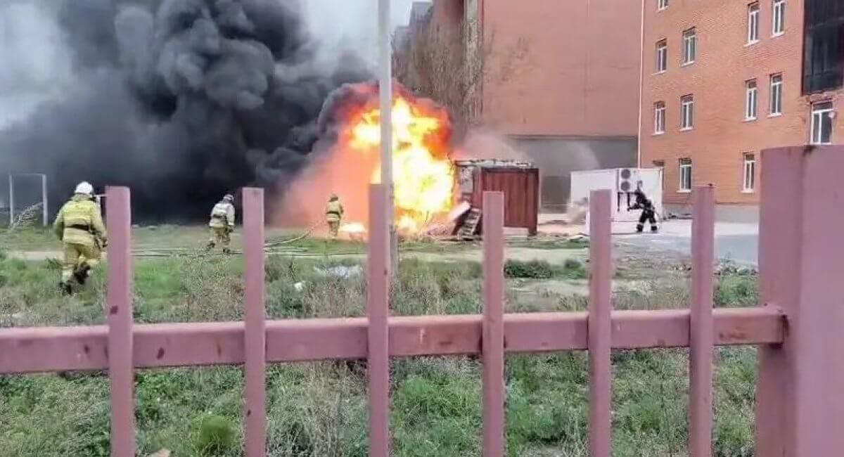 Трупы собак обнаружили в пригороде Актау