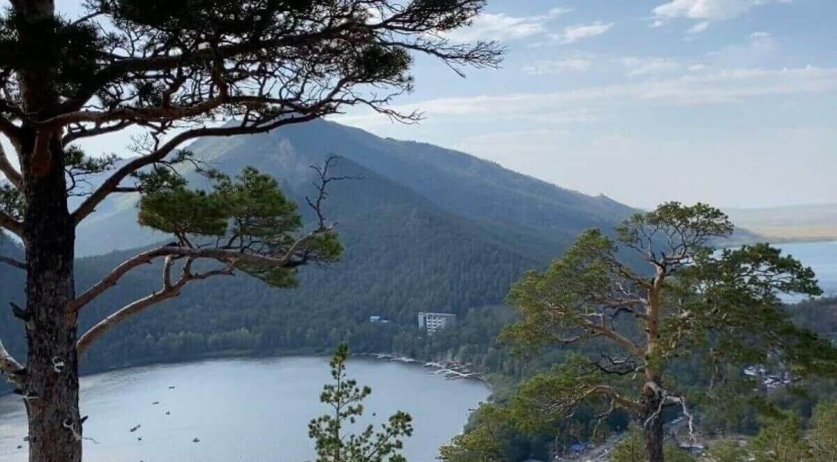 Не дает вырубку леса и говорит только через ее очко