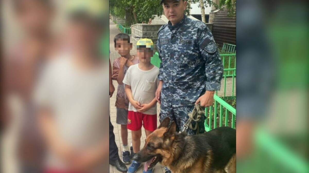 Немецкая овчарка Феликс раскрыла загадку пропажи мальчика в Астане