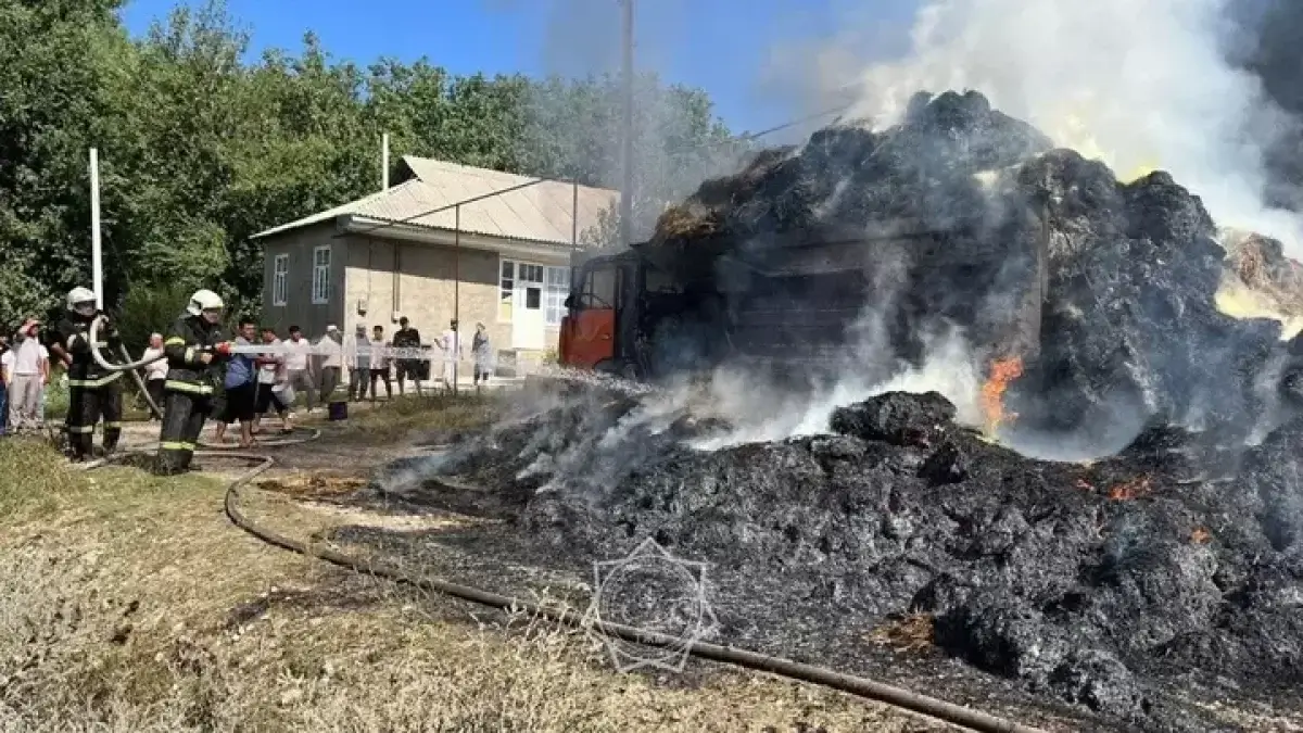 Грузовик с сеном пытался потушить водитель в Туркестанской области