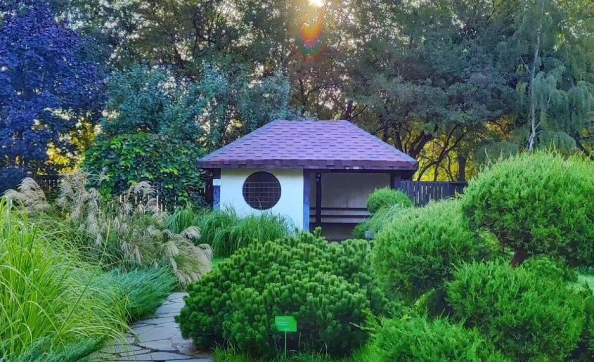 Ботанический сад Алматы закрывается