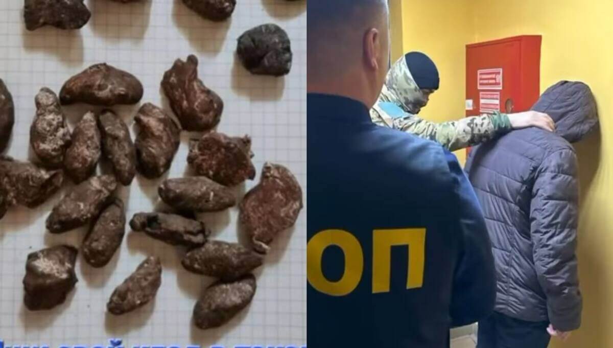 "Каменными" закладками промышляли жители Павлодара (ВИДЕО)
