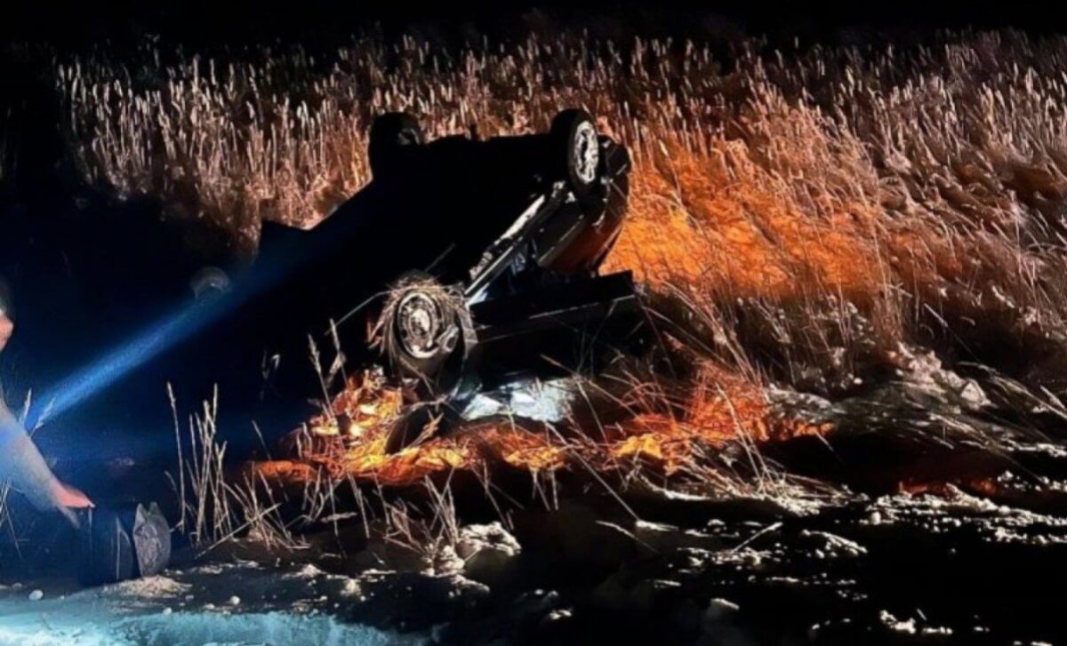 Водитель погиб после столкновения с лошадьми в Павлодарской области