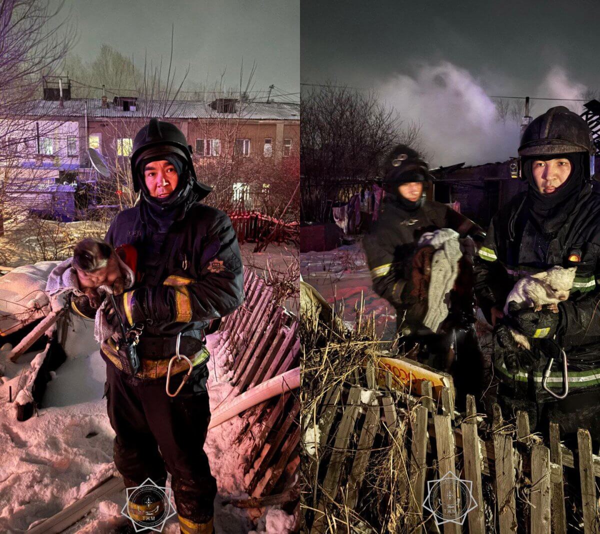 Двух собак спасли из огня в Карагандинской области