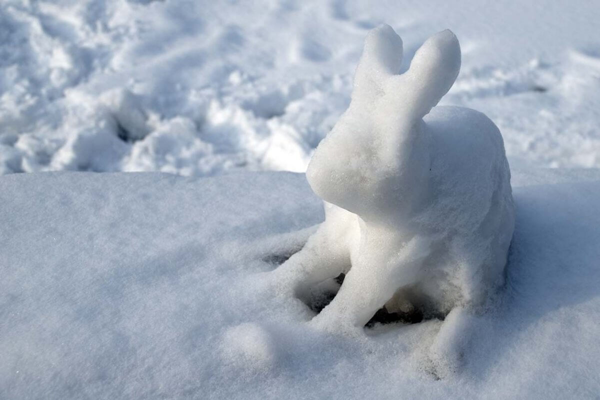 Снежные скульптуры создает дворник в Астане