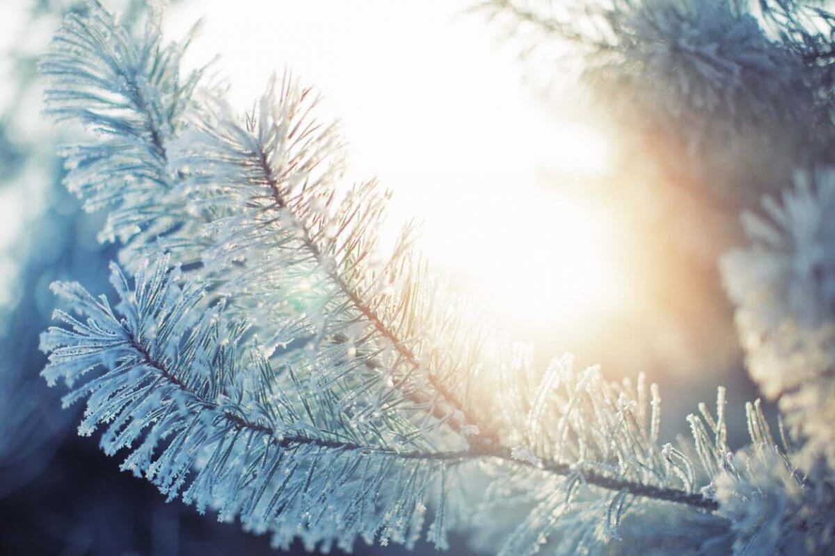 Какую погоду пообещали жителям мегаполисов 18 января