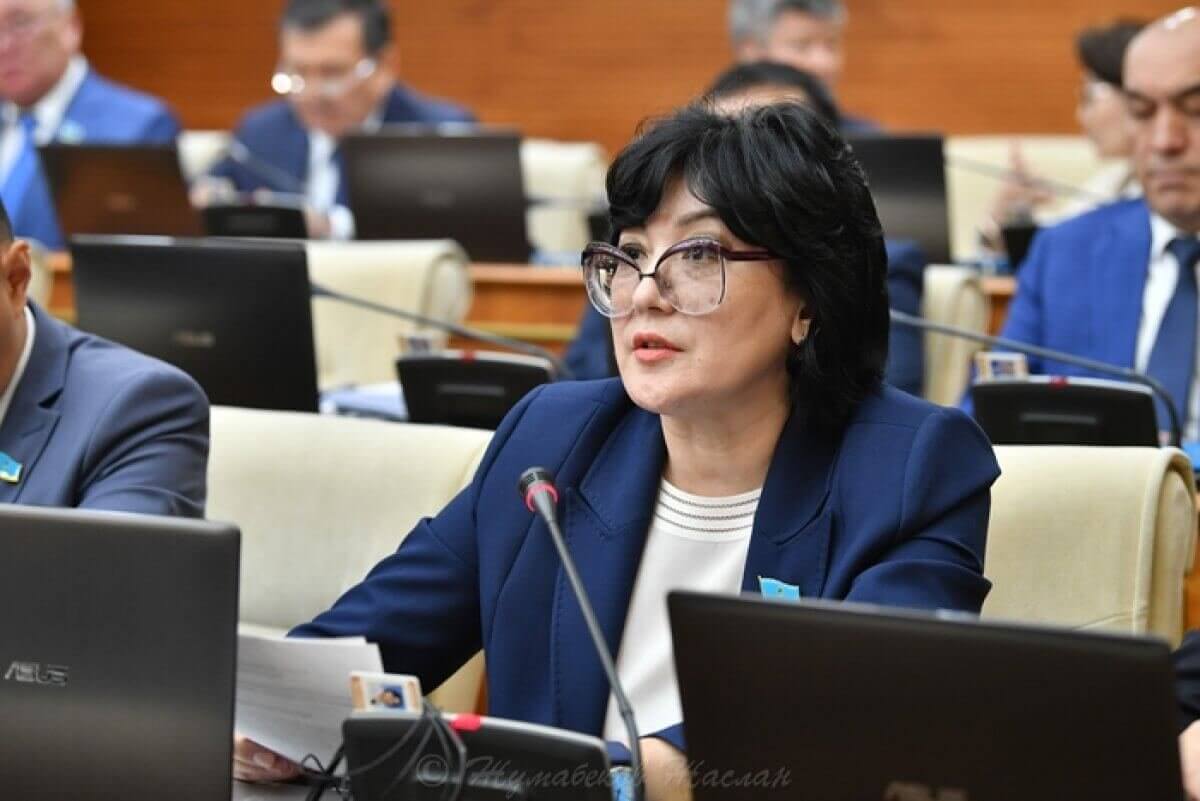 Перед экономикой Казахстана стоят серьезные модернизационные задачи – депутат