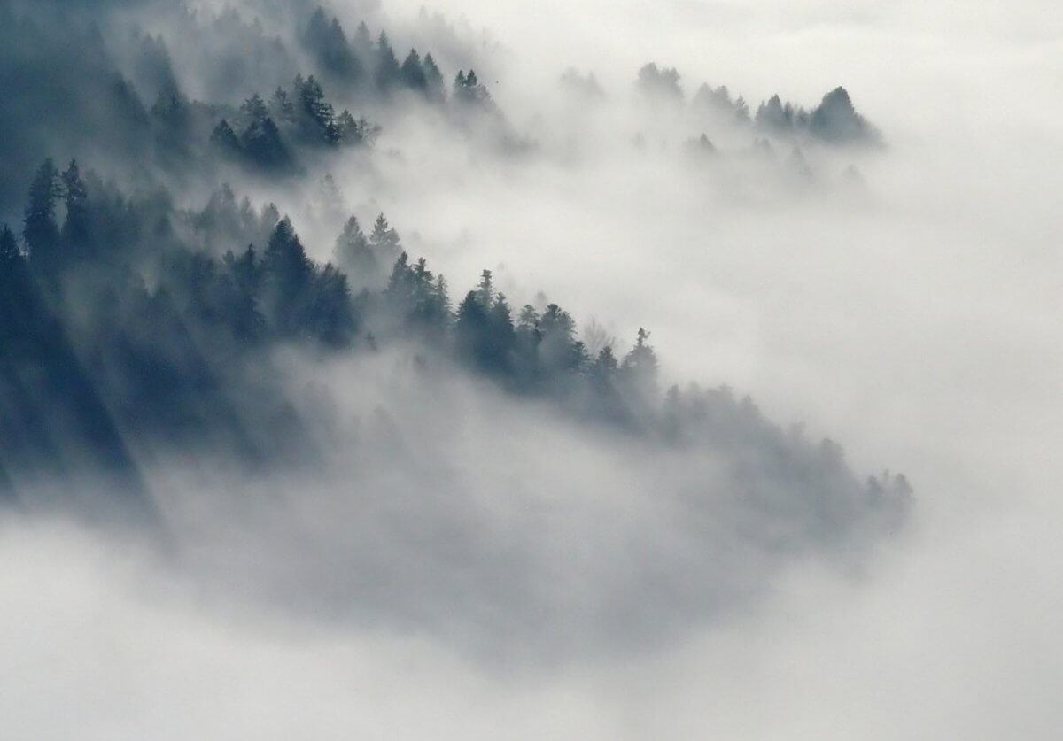 Туманы и гололед ждут казахстанцев 5 февраля