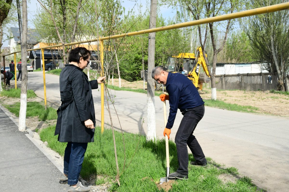 "Таза бейсенбі": экология в действии – как Казахстан становится чище