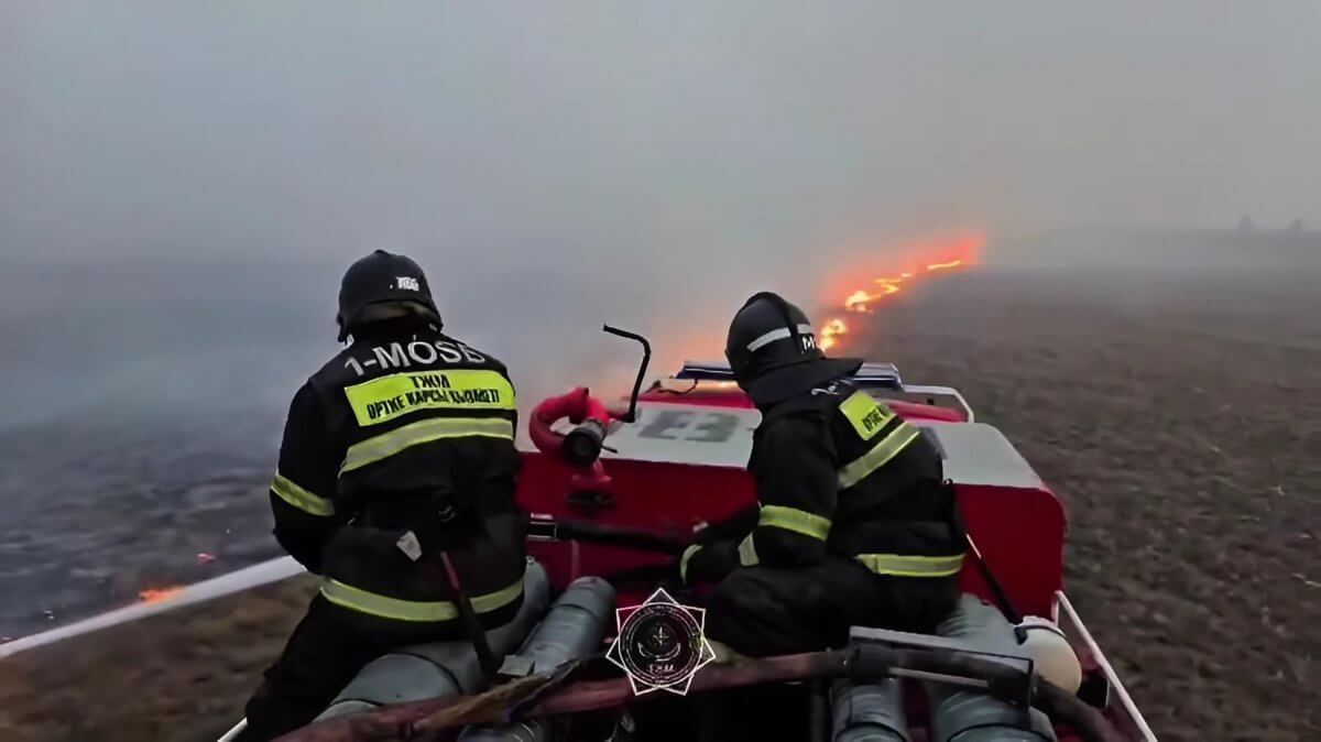 Пылающий лес в области Абай: МЧС опубликовало видео с места пожара
