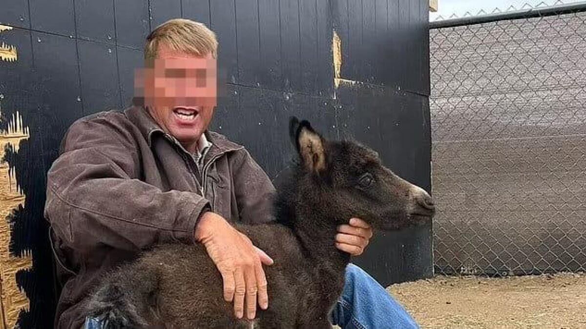 Ветеринара, который издевался над животными, нашли мертвым