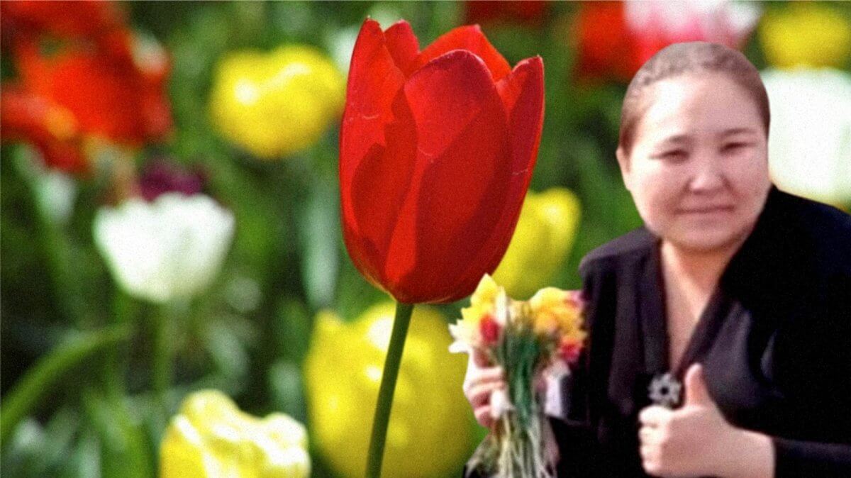 Штраф после фото с тюльпанами получила аким в Актюбинской области