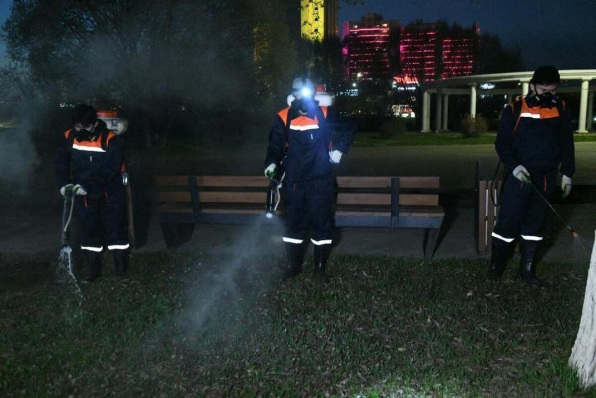 Полномасштабные дезинсекционные работы против комаров начались в Астане