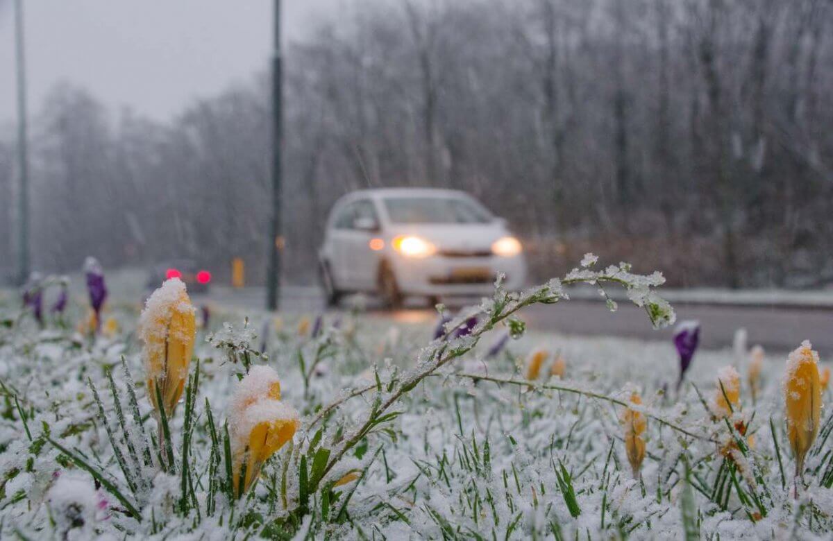 На Первомай в Казахстане ожидаются дождь со снегом и заморозки