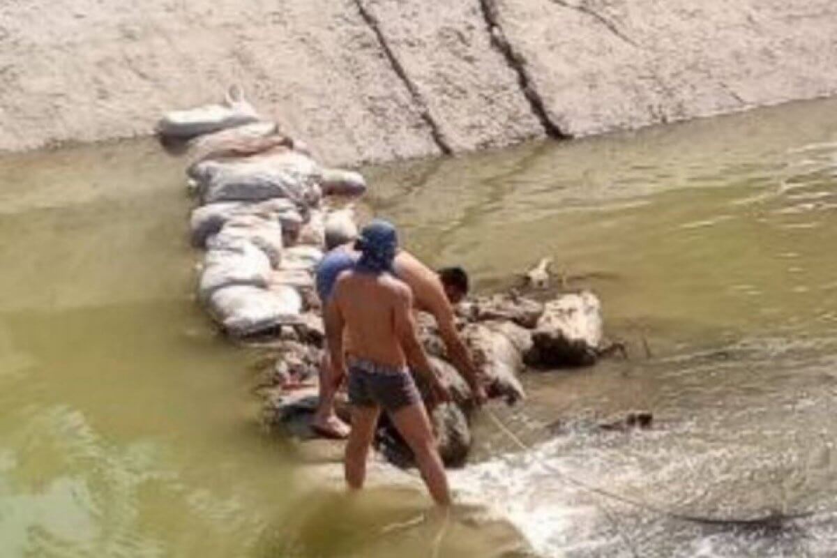 Дамбу из останков животных соорудили в Самарканде