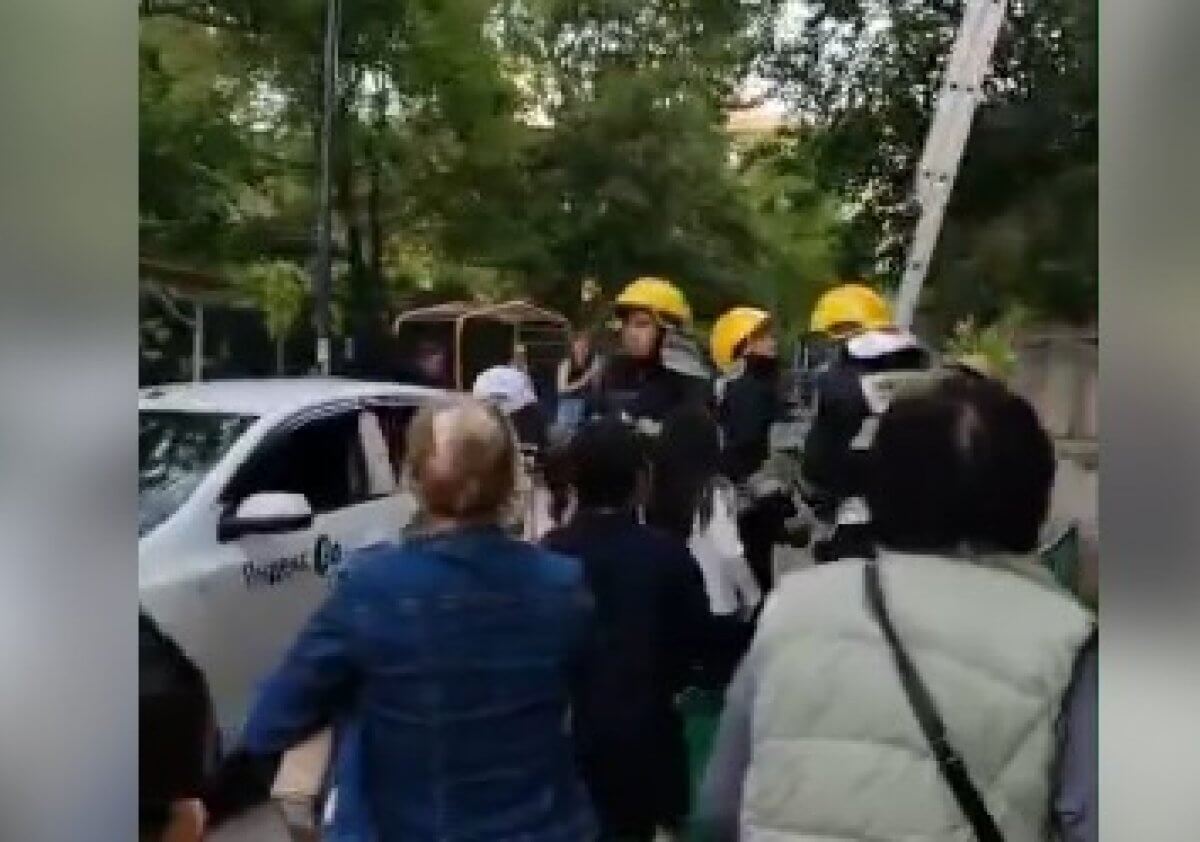 Кота спасли под аплодисменты в Алматы