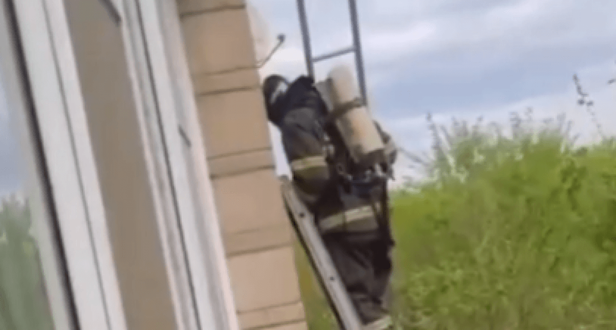 Спасатель упал с высоты в ВКО (ВИДЕО)