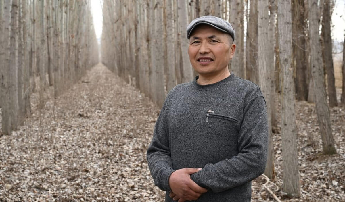 16 тысяч тополей Коктерека-ага